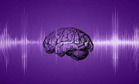 A stylized illustration of a human brain centered on a purple background, with white soundwave patterns radiating horizontally across the image. The graphic suggests themes of neuroscience, cognition, or the connection between brain activity and sound or communication.